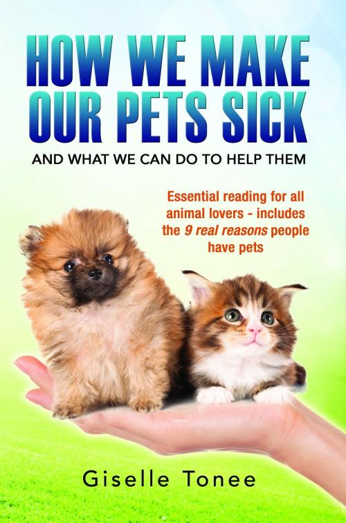 Cover of the book How We Make Our Pets Sick by Giselle Tonee, Giselle Tonee