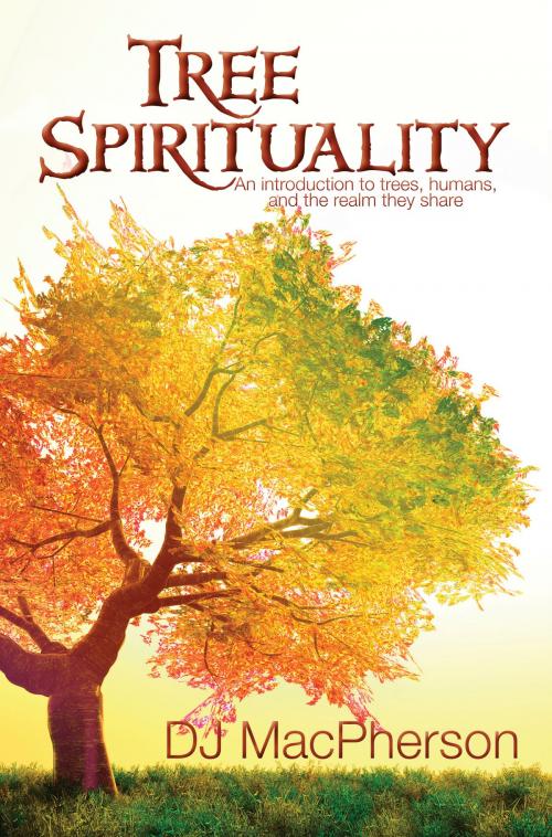 Cover of the book Tree Spirituality by DJ MacPherson, BookBaby
