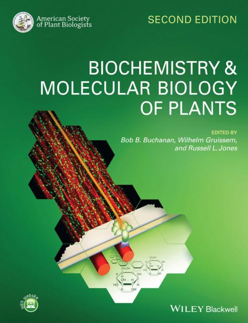 Cover of the book Biochemistry and Molecular Biology of Plants by , Wiley