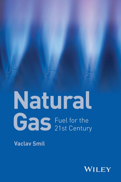 Cover of the book Natural Gas by Vaclav Smil, Wiley