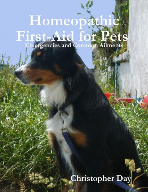 Cover of the book Homeopathic First-Aid for Pets : Emergencies and Common Ailments by Christopher Day, Lulu.com