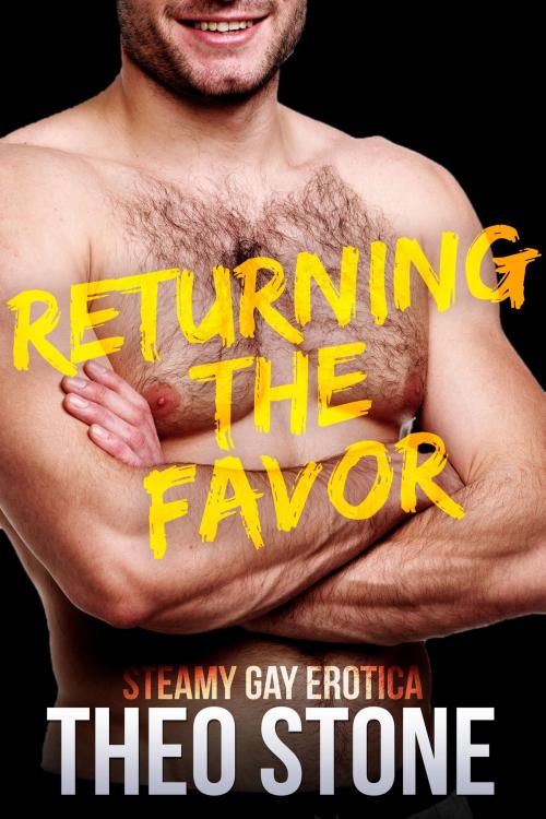 Cover of the book Returning the Favor by Theo Stone, Smoldering Books