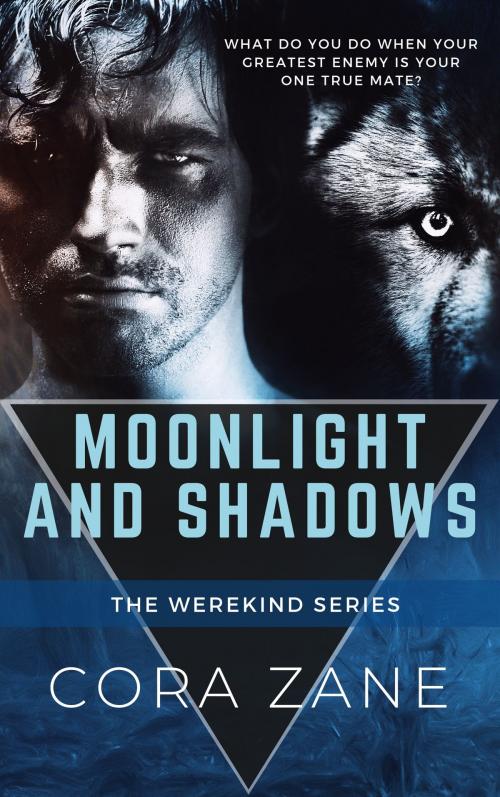Cover of the book Moonlight and Shadows by Cora Zane, Cora Zane