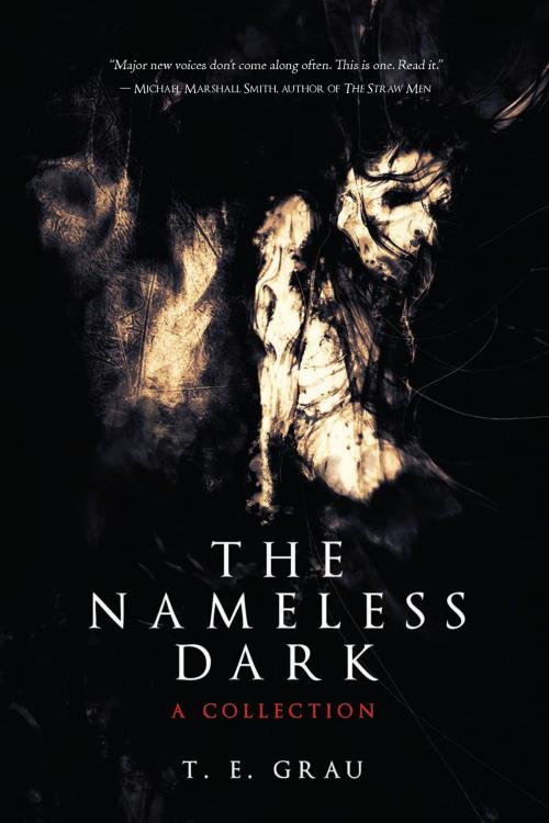 Cover of the book The Nameless Dark by T.E. Grau, Lethe Press