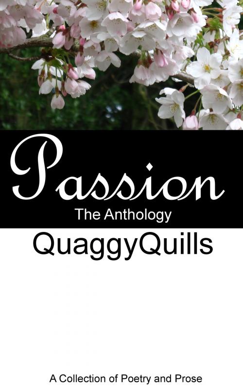 Cover of the book Passion the Anthology by Quaggy Quills, Quaggy Quills