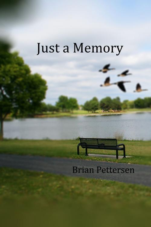 Cover of the book Just a Memory by Brian Pettersen, Brian Pettersen