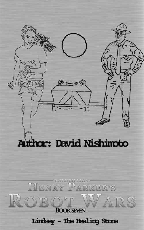 Cover of the book Lindsey: The Healing Stone by David Nishimoto, David Nishimoto