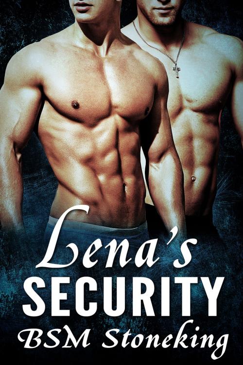 Cover of the book Lena's Security by BSM Stoneking, BSM Stoneking