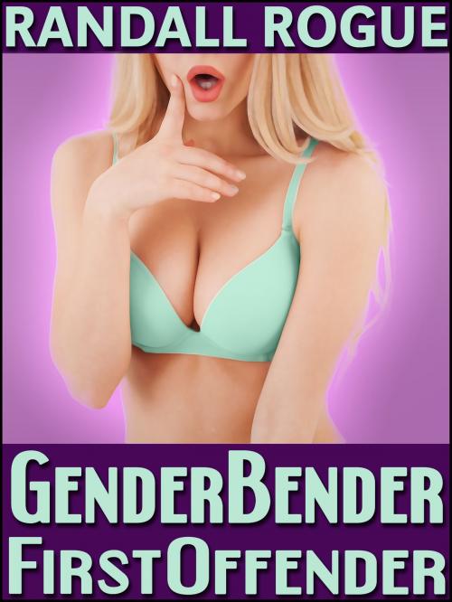 Cover of the book Gender Bender First Offender by Randall Rogue, Dapper Rat Publishing