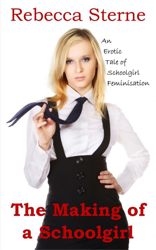 Cover of the book The Making of a Schoolgirl by Rebecca Sterne, Rebecca Sterne