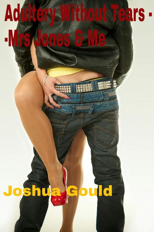 Cover of the book Adultery Without Tears: Mrs Jones and me by Joshua Gould, Joshua Gould