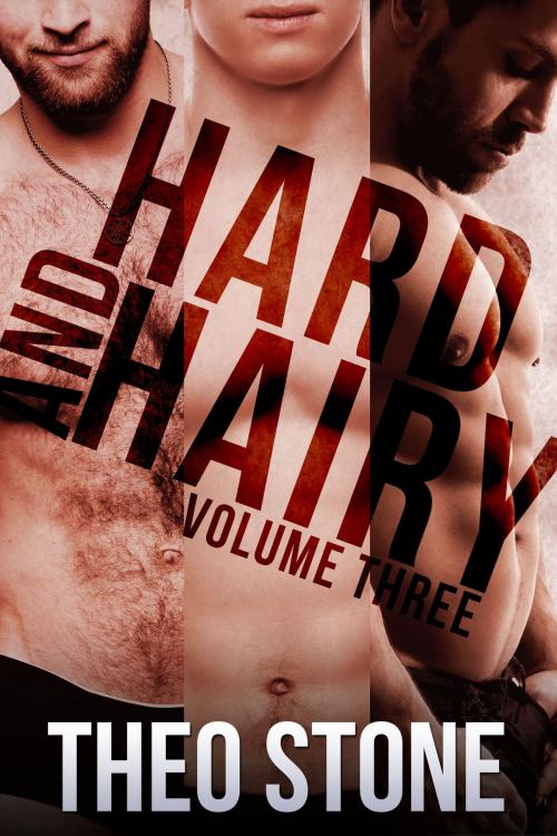 Cover of the book Hard and Hairy Vol. Three by Theo Stone, Smoldering Books