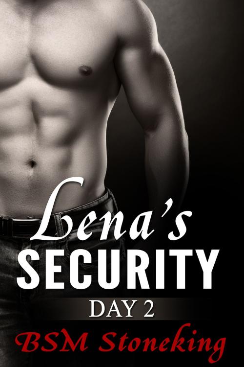 Cover of the book Lena's Security, Day 2 by BSM Stoneking, BSM Stoneking