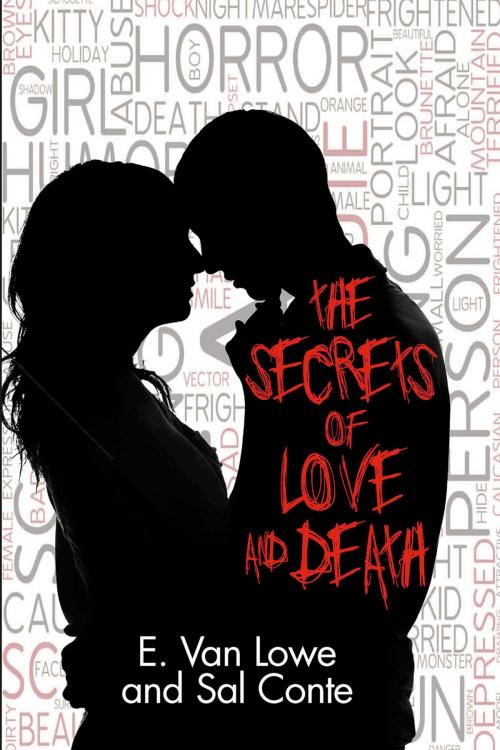 Cover of the book The Secrets of Love and Death by E. Van Lowe, Christopher Meeks