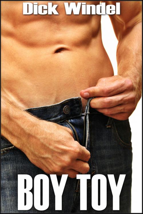 Cover of the book Boy Toy (Gay Diaper Fetish, ABDL, Age Play, Adult Baby, Regression) by Dick Windel, Sasha Black