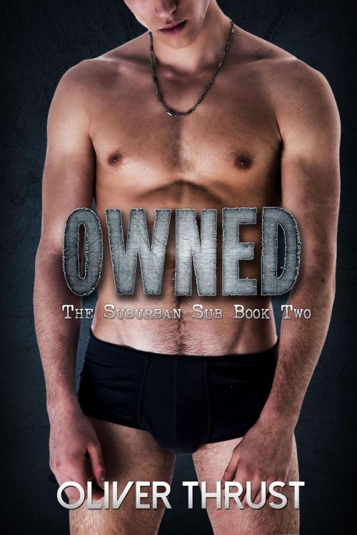 Cover of the book Owned by Oliver Thrust, Smoldering Books