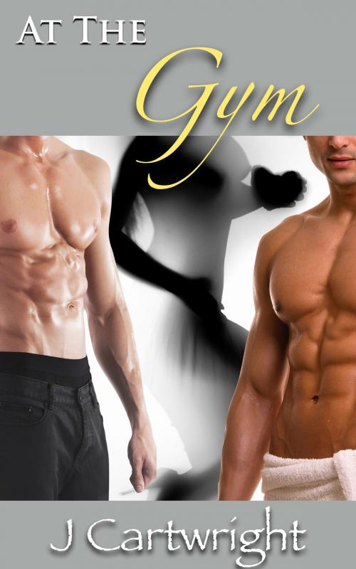 Cover of the book At The Gym by J Cartwright, James Snow