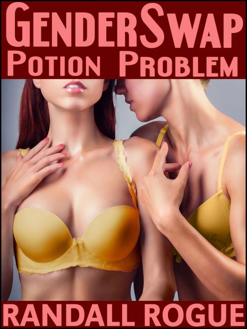 Cover of the book Gender Swap Potion Problem by Randall Rogue, Dapper Rat Publishing