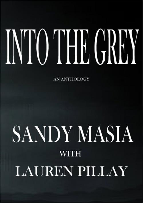 Cover of the book Into the Grey by Sandy Masia, Sandy Masia