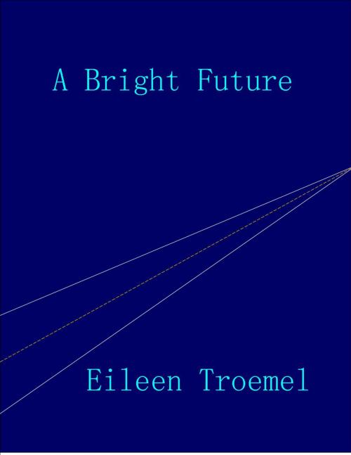 Cover of the book A Bright Future by Eileen Troemel, Eileen Troemel