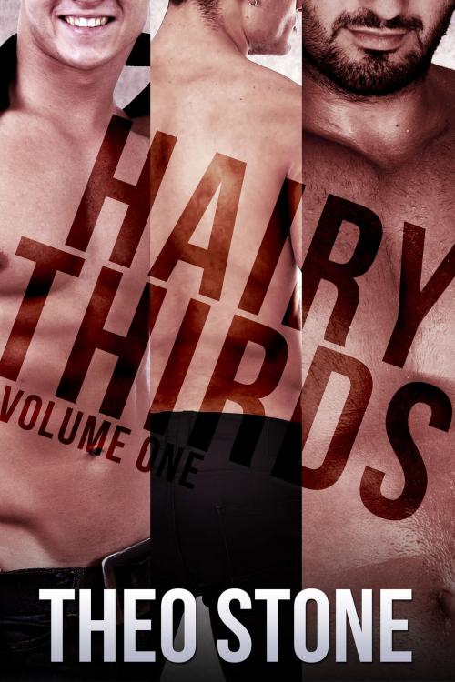 Cover of the book Hairy Thirds by Theo Stone, Smoldering Books
