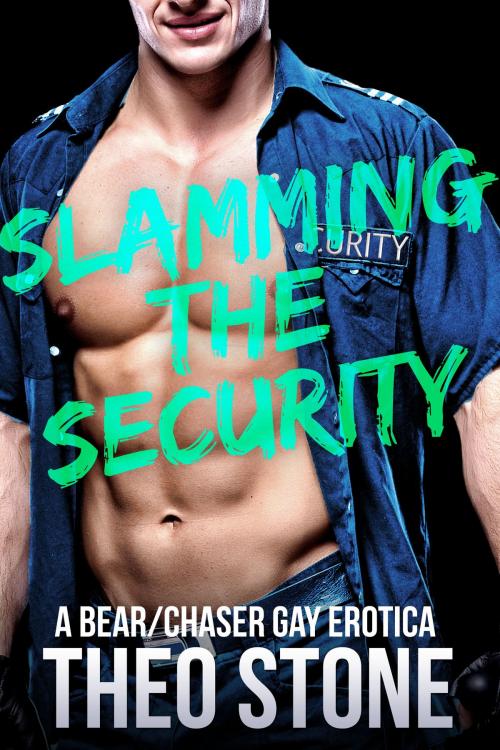 Cover of the book Slamming the Security by Theo Stone, Smoldering Books
