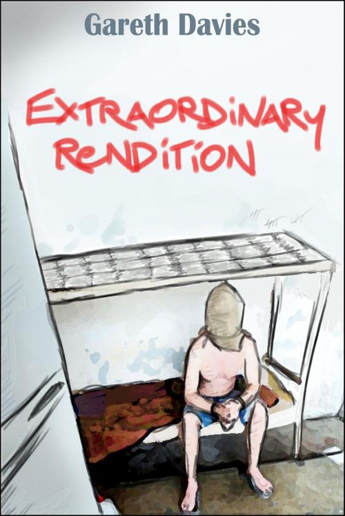Cover of the book Extraordinary Rendition by Gareth Davies, Gareth Davies