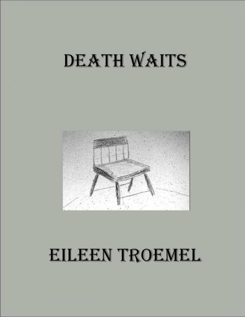 Cover of the book Death Waits by Eileen Troemel, Eileen Troemel