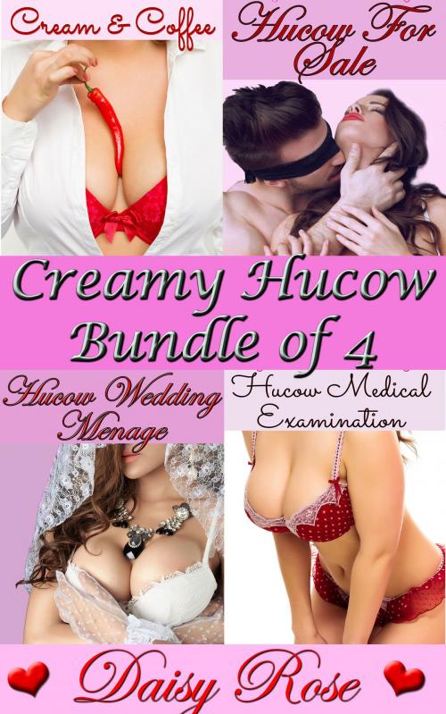 Cover of the book Creamy Hucow Bundle of 4 by Daisy Rose, Fanciful Erotica