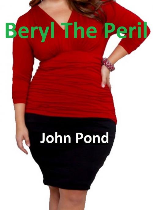 Cover of the book Beryl The Peril by John Pond, John Pond