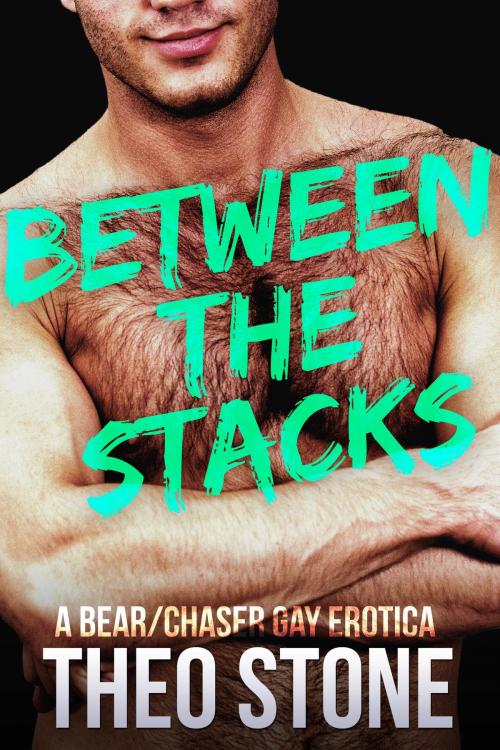 Cover of the book Between The Stacks by Theo Stone, Smoldering Books