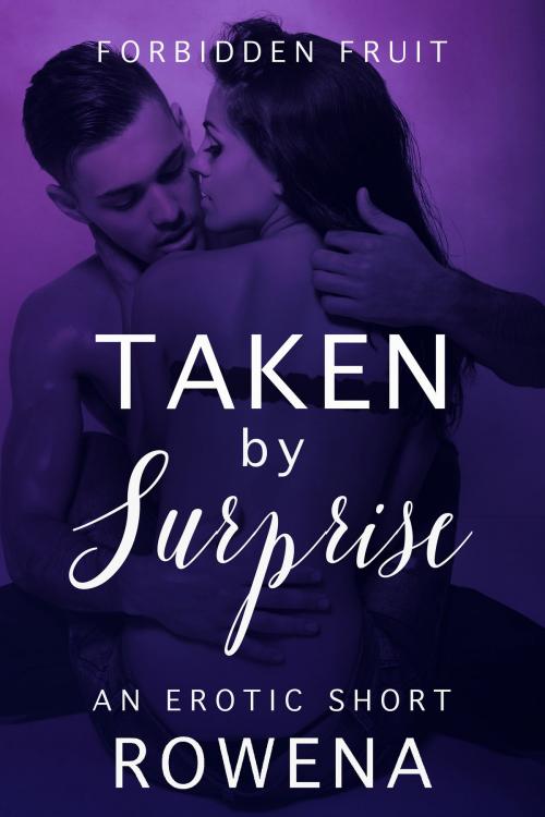 Cover of the book Taken by Surprise: An Erotic Short by Rowena, Eromantica Publications