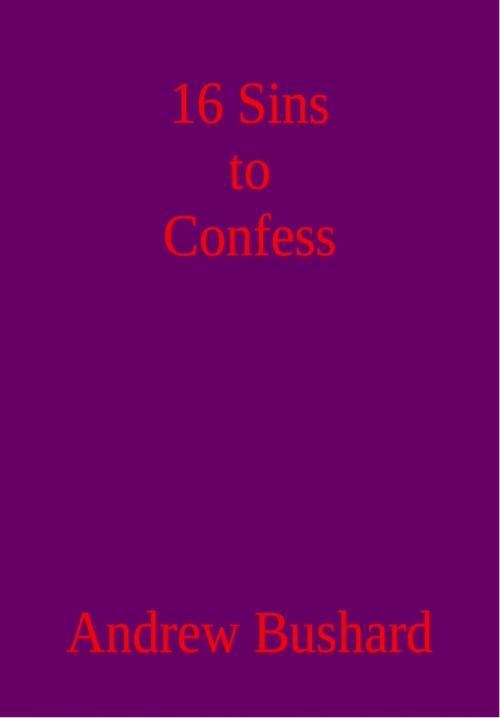 Cover of the book 16 Sins to Confess by Andrew Bushard, Andrew Bushard