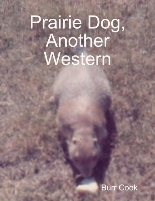 Cover of the book Prairie Dog, Another Western by Burr Cook, Lulu.com
