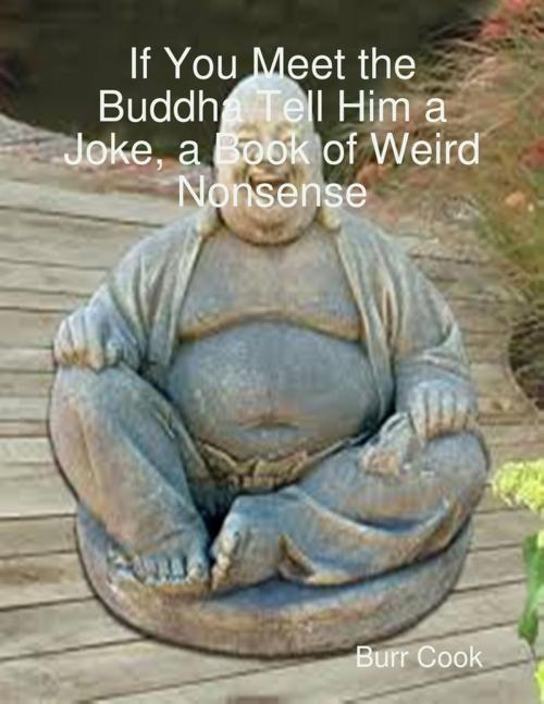 Cover of the book If You Meet the Buddha Tell Him a Joke, a Book of Weird Nonsense by Burr Cook, Lulu.com