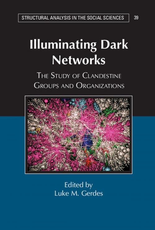 Cover of the book Illuminating Dark Networks by , Cambridge University Press
