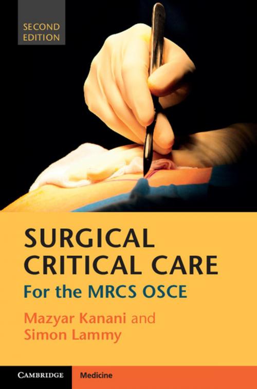 Cover of the book Surgical Critical Care by Mazyar Kanani, Simon Lammy, Cambridge University Press