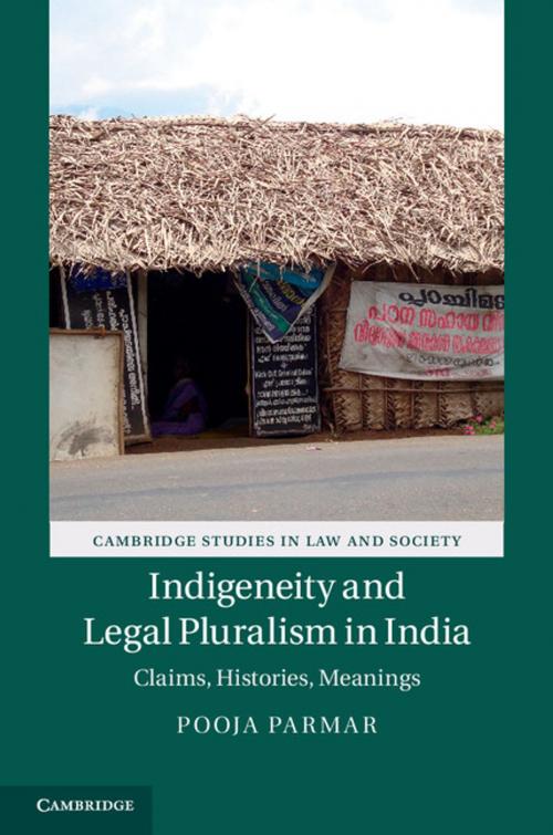 Cover of the book Indigeneity and Legal Pluralism in India by Pooja Parmar, Cambridge University Press