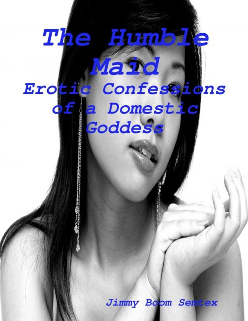 Cover of the book The Humble Maid - Erotic Confessions of a Domestic Goddess by Jimmy Boom Semtex, Lulu.com