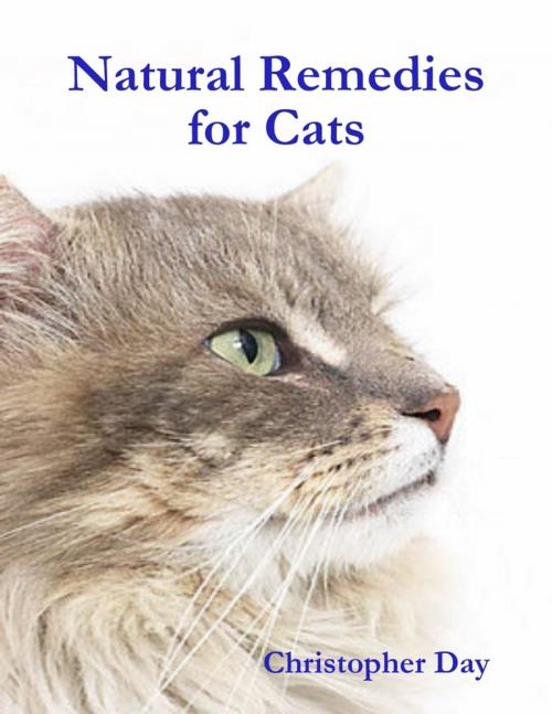 Cover of the book Natural Remedies for Cats by Christopher Day, Lulu.com