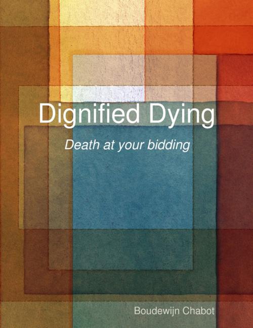 Cover of the book Dignified Dying by Boudewijn Chabot, Lulu.com