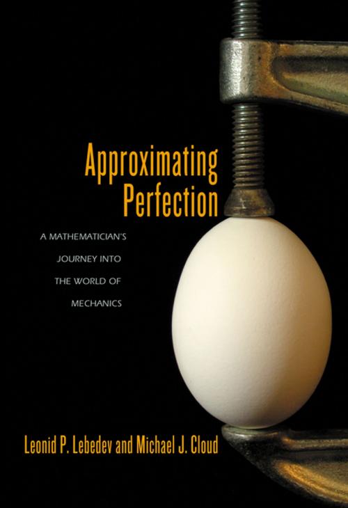 Cover of the book Approximating Perfection by Leonid P. Lebedev, Michael J. Cloud, Princeton University Press