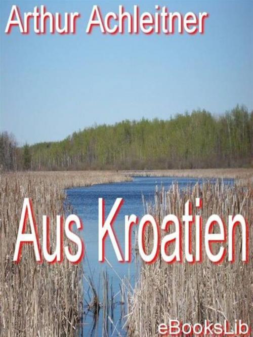 Cover of the book Aus Kroatien by Arthur Achleitner, eBooksLib