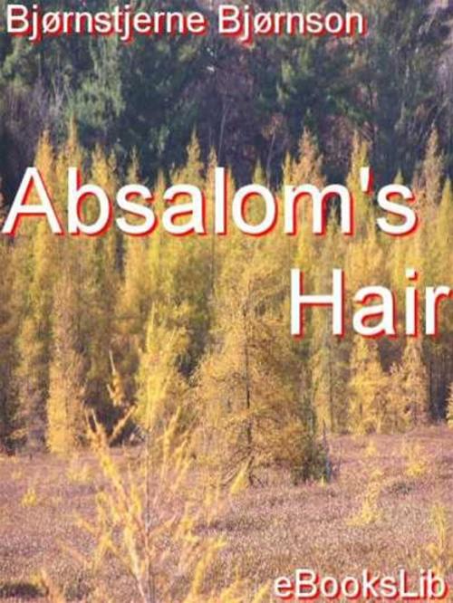 Cover of the book Absalom's Hair by Bjørnstjerne Bjørnson, eBooksLib