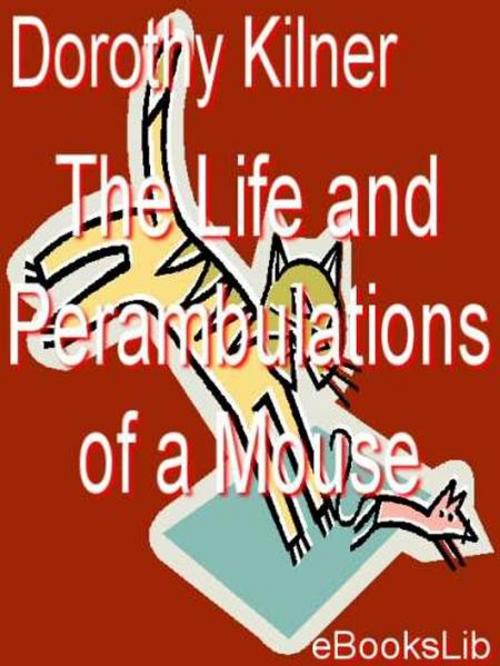 Cover of the book The Life and Perambulations of a Mouse by Dorothy Kilner, eBooksLib