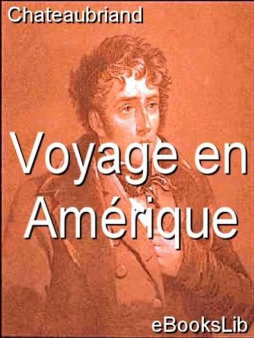 Cover of the book Voyage en Amérique by eBooksLib, eBooksLib