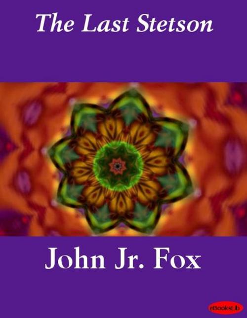 Cover of the book The Last Stetson by John Jr. Fox, eBooksLib