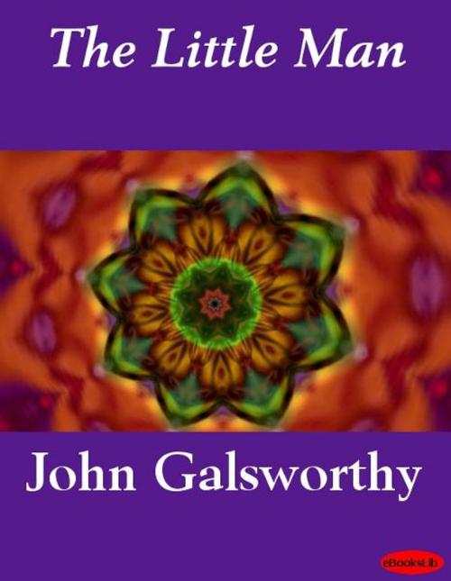 Cover of the book The Little Man by John Galsworthy, eBooksLib