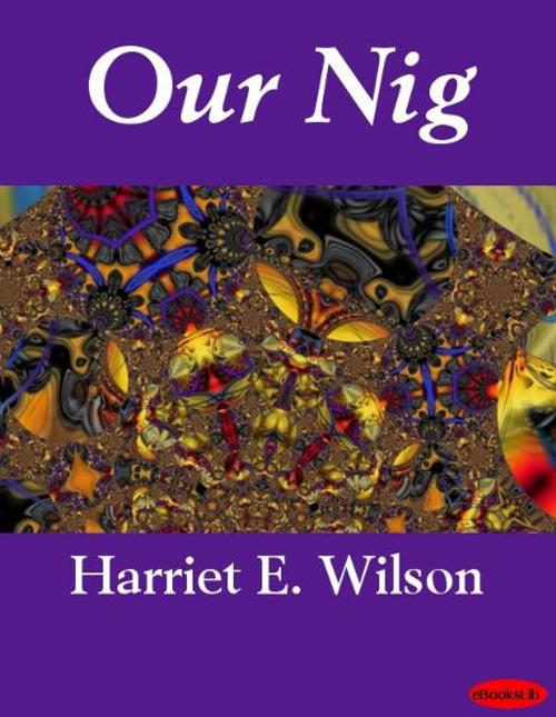 Cover of the book Our Nig by Harriet E. Wilson, eBooksLib