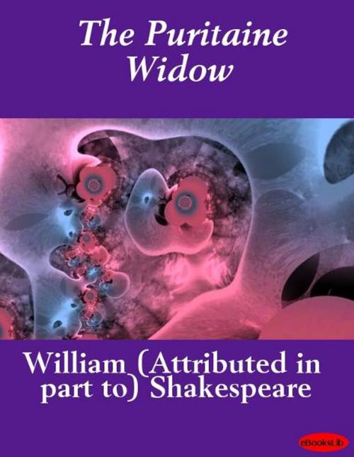 Cover of the book The Puritaine Widow by William Shakespeare, eBooksLib